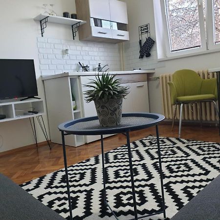 Apartman Park Jagodina-Studio U Centru Grada Esterno foto
