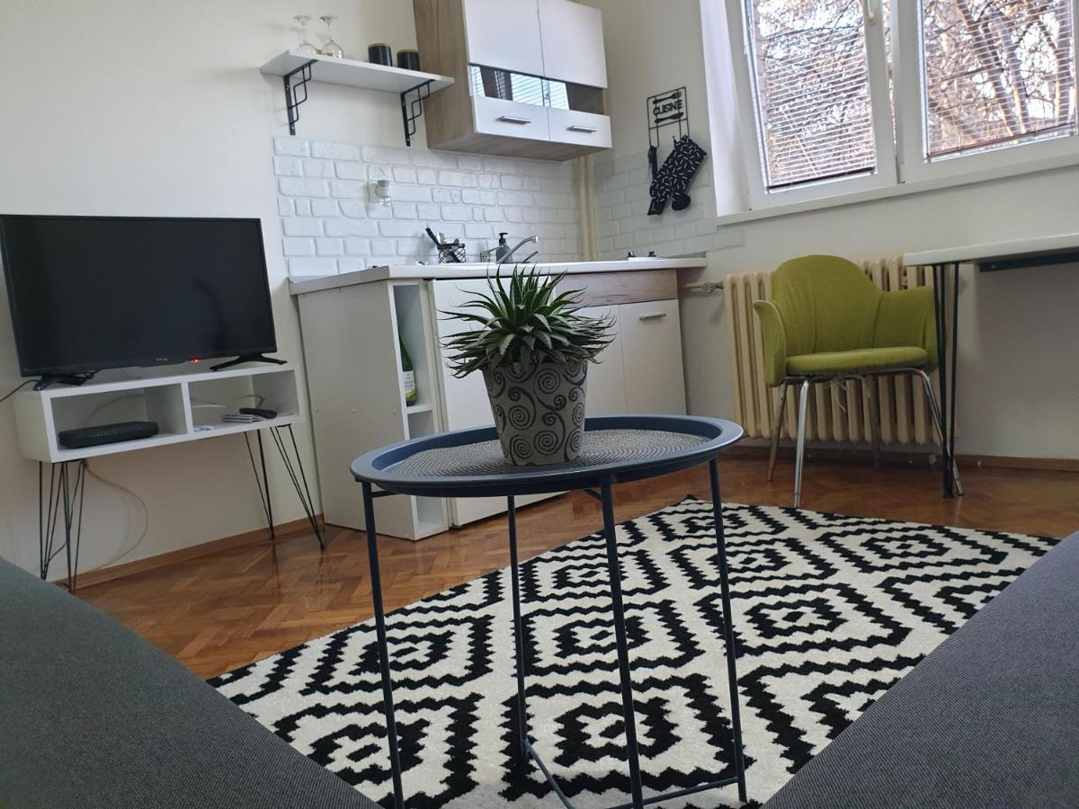 Apartman Park Jagodina-Studio U Centru Grada Esterno foto